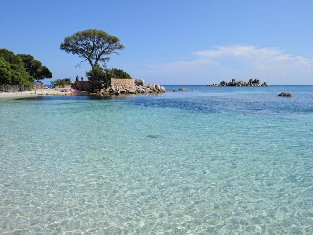 Private Hotel - Adult Only Porto-Vecchio  Luaran gambar