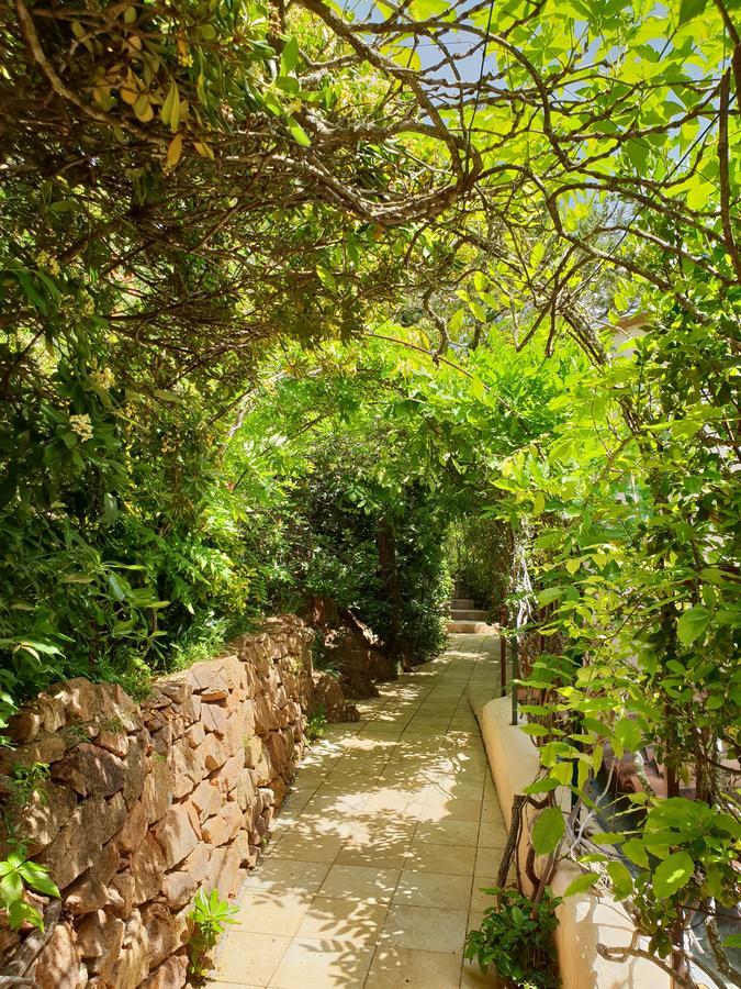 Private Hotel - Adult Only Porto-Vecchio  Luaran gambar